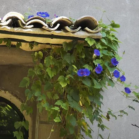 Commanderie Templiere De Launac-le-vieux Couette-café Fabrègues
